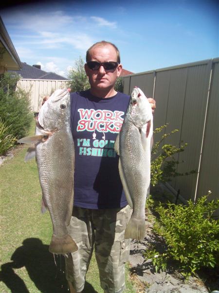 fishes001 (Medium).jpg